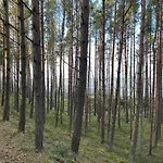 Wygodny Eko Kolo Nadmorskiego Parku Krajobrazowego