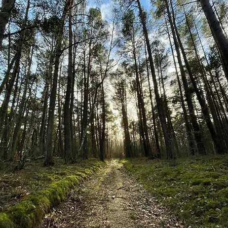 Wygodny Eko Kolo Nadmorskiego Parku Krajobrazowego Karwienskie Bloto Drugie