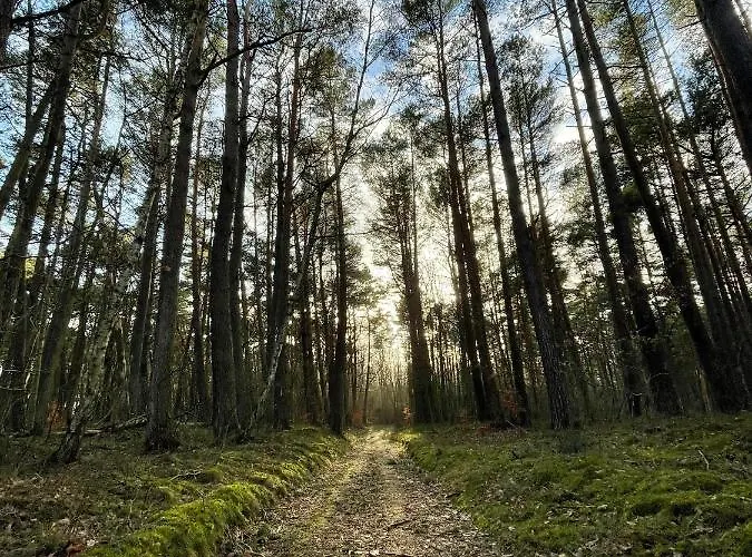 Wygodny Eko Kolo Nadmorskiego Parku Krajobrazowego Karwienskie Bloto Drugie