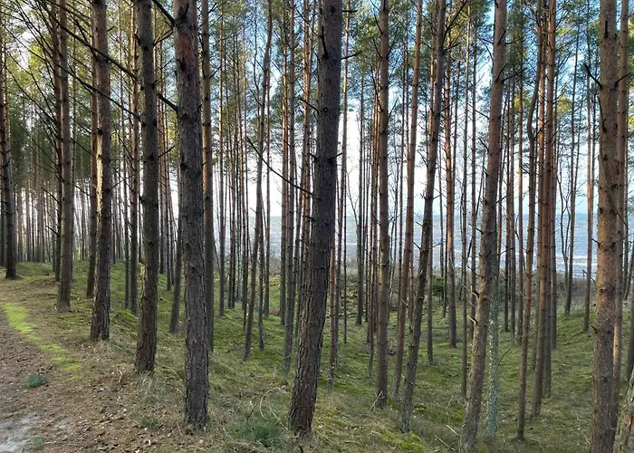 Wygodny Eko Kolo Nadmorskiego Parku Krajobrazowego