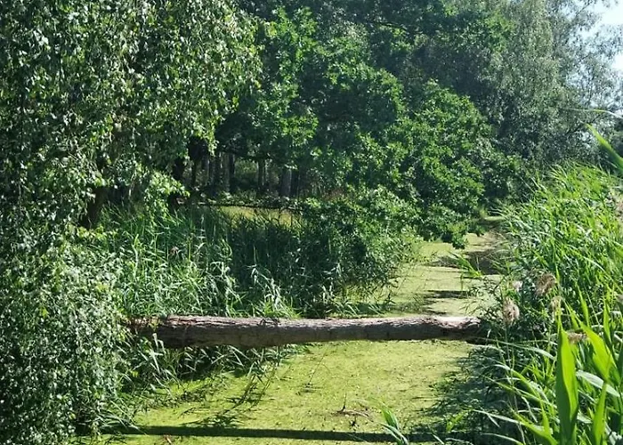 Wygodny Eko Kolo Nadmorskiego Parku Krajobrazowego Tatil Evi Karwienskie Bloto Drugie
