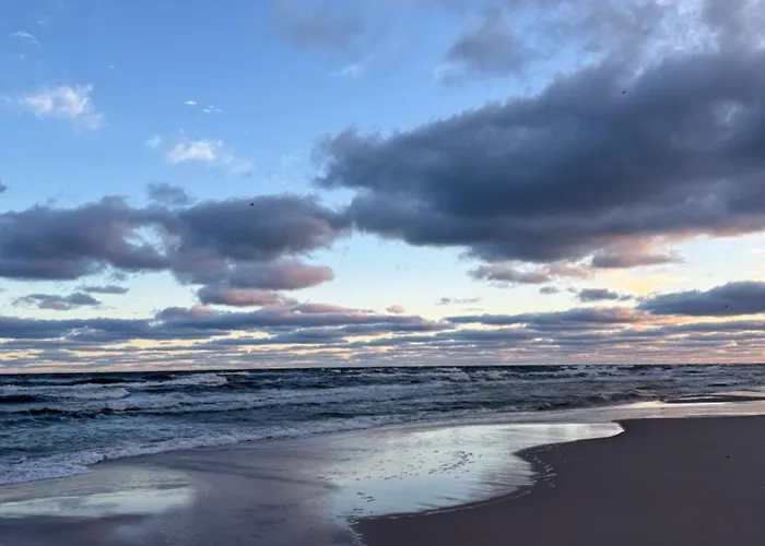 Wygodny Eko Kolo Nadmorskiego Parku Krajobrazowego