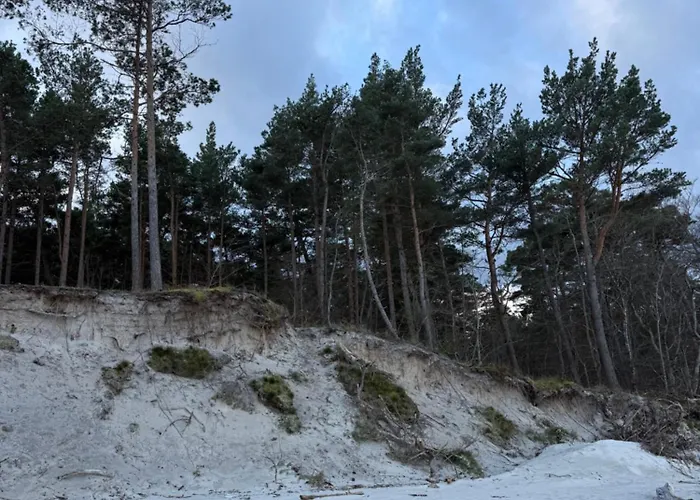 Tatil Evi Wygodny Eko Kolo Nadmorskiego Parku Krajobrazowego